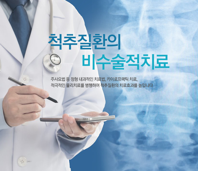 척추질환의 비수술적치료